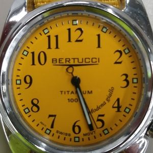 Bertucci watch